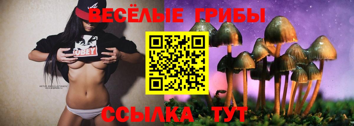 Галлюциногенные грибы Psilocybe  Псилоцибиновые грибы ЛСД  Каспийск  Вход с VPN 