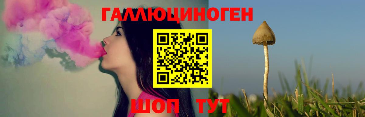 Псилоцибиновые грибы GOLDEN TEACHER Каспийск